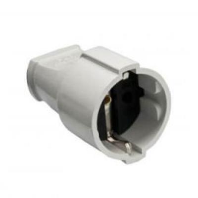 TOPRAKLI DİŞİ FİŞ 